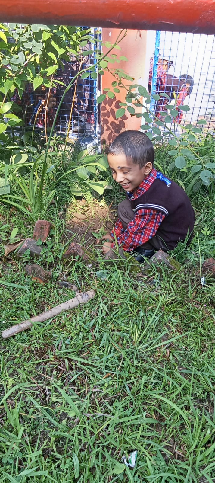 world environment day 2025